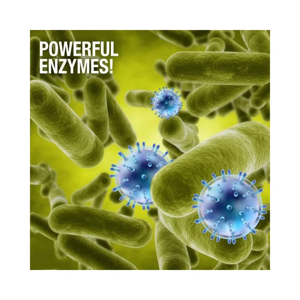 Green Gobbler Bio-Flow Drain Strips 12 Pack - Highly Effective Sink Unblocker