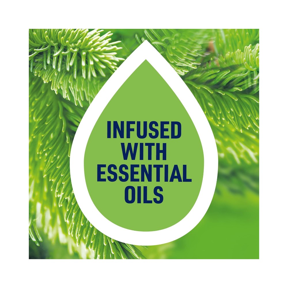 Harpic Active Fresh Mountain Pine Toilet Cleaning Gel 750ml