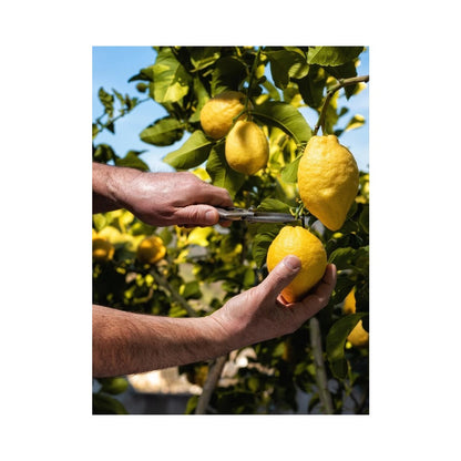 A. Vogel Herbamare Organic Fresh Herb Spicy Sea Salt 125g