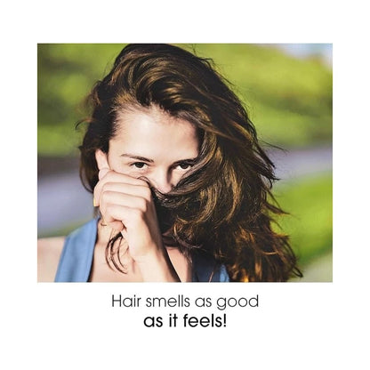 Alberto Balsam Coconut & Lychee Shampoo 350ml - Pack of 6