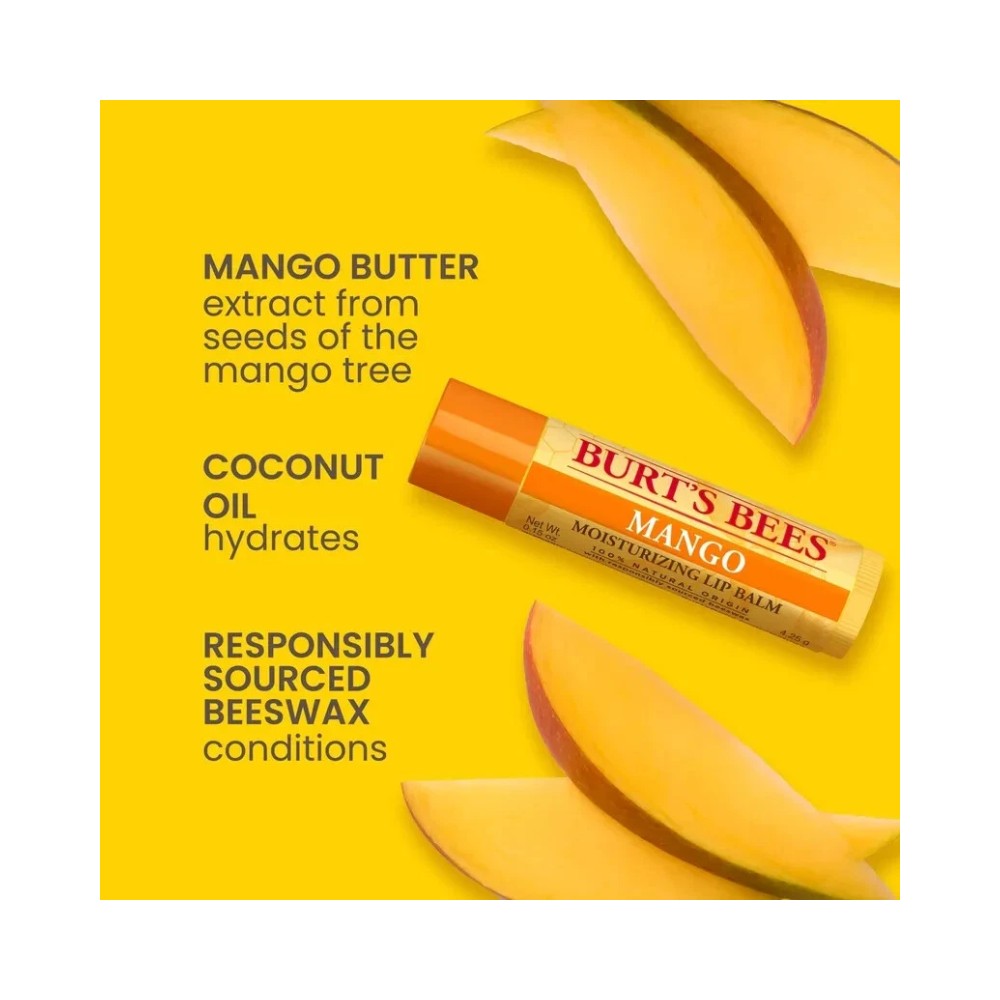 Burt's Bees Superfruit Flavoured Moisturizing Lip Balm 0.15oz - 4 Lip Balms