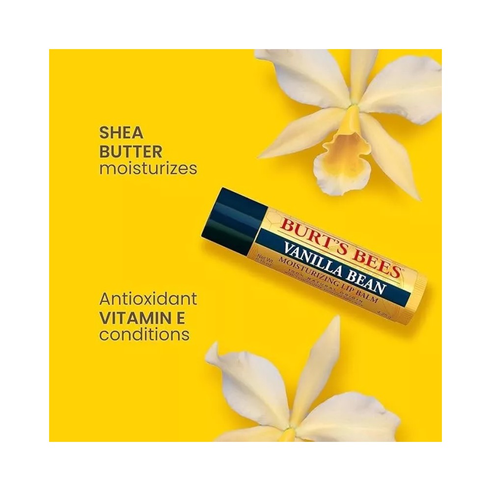 Burt's Bees Vanilla Bean Moisturizing Lip Balm 0.15oz - Pack of 2
