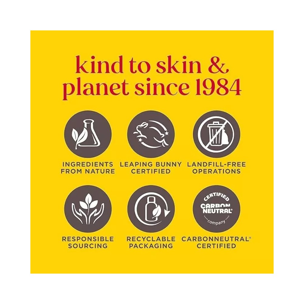 Burt's Bees Vanilla Bean Moisturizing Lip Balm 0.15oz - Pack of 2