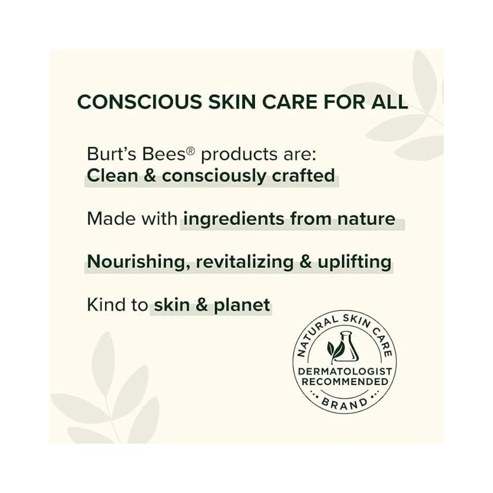 Burt's Bees Vanilla Bean Moisturizing Lip Balm 0.15oz - Pack of 2