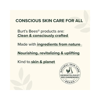 Burt's Bees Vanilla Bean Moisturizing Lip Balm 0.15oz - Pack of 2