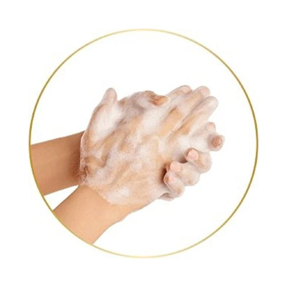 Dove Original Moisturising Hand Wash 250ml