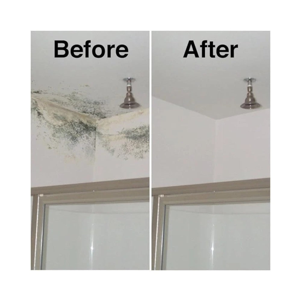 Astonish Specialist Mold and Mildew Blast Stain Remover Spray 750ml