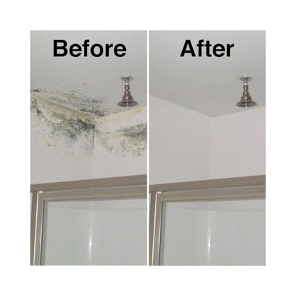 Astonish Specialist Mold and Mildew Blast Stain Remover Spray 750ml