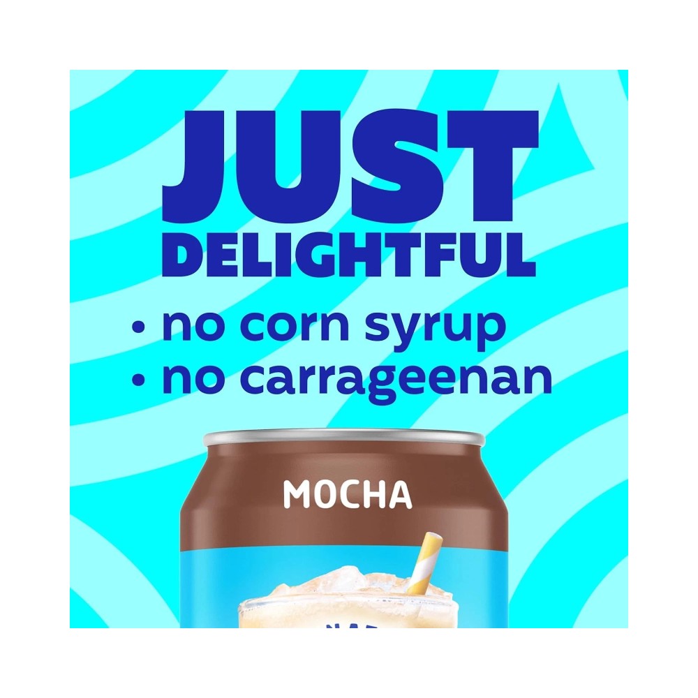 International Delight Mocha Iced Coffee Can 15oz (443ml)