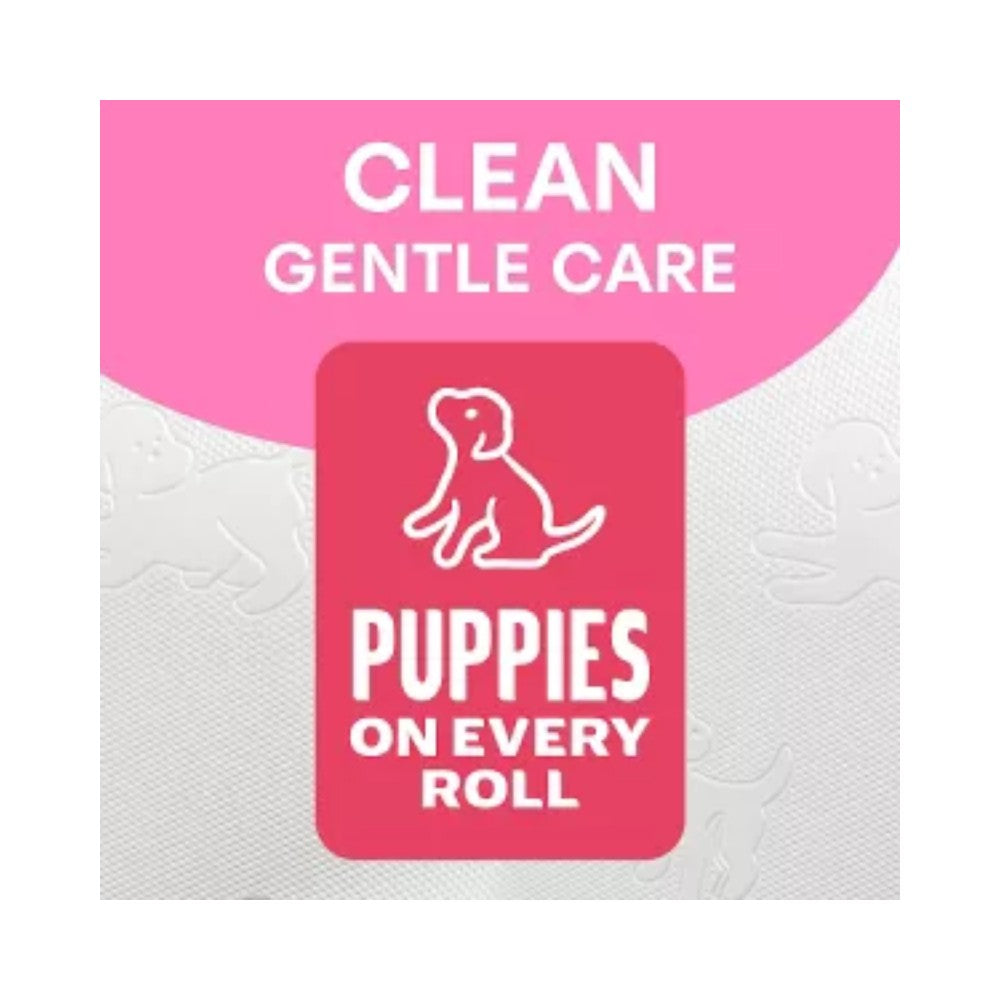 Andrex Family Soft Clean Toilet Tissue Rolls 4's