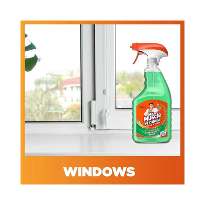 Mr Muscle Platinum Window & Glass Cleaner Spray 500ml