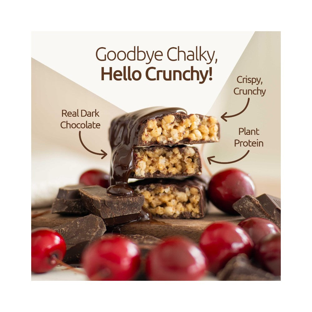 NuGo Dark Chocolate Peanut Butter Cup Protein Bar 1.76oz (50g)