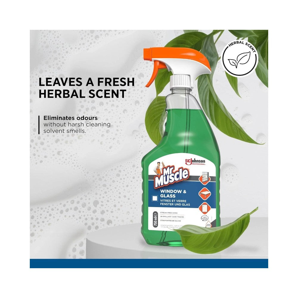 Mr Muscle Platinum Window & Glass Cleaner Spray 750ml