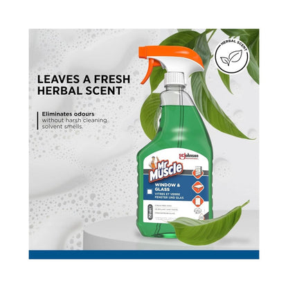 Mr Muscle Platinum Window & Glass Cleaner Spray 750ml