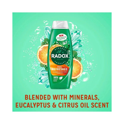 Radox Feel Refreshed Shower Gel 675ml