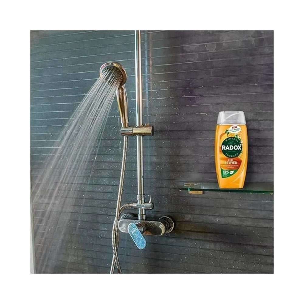 Radox Feel Revived Shower Gel 225ml