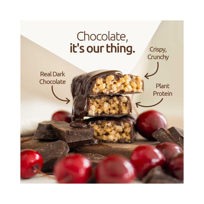NuGo Dark Chocolate Pretzel Sea Salt Protein Bar 1.76oz (50g)