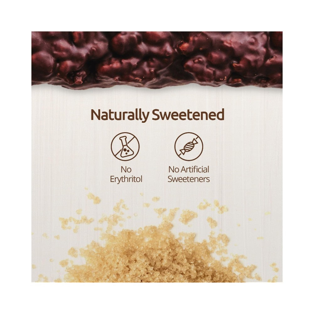NuGo Dark Chocolate Pretzel Sea Salt Protein Bar 1.76oz (50g)