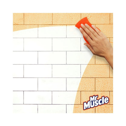 Mr Muscle Platinum Kitchen Cleaner Spray 500ml